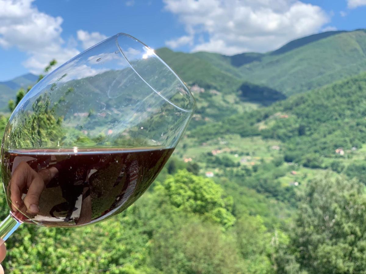 Villa Casa Emma Fiattone In Garfagnana Esterno foto